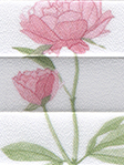 Flower Dream 3.885.58 Detailansicht