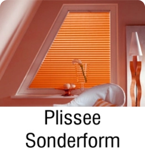 Plissee Sonderform