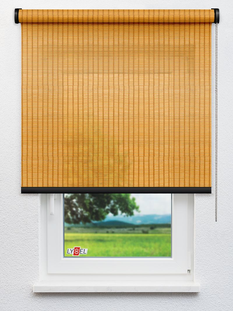 R7017 Fensteransicht