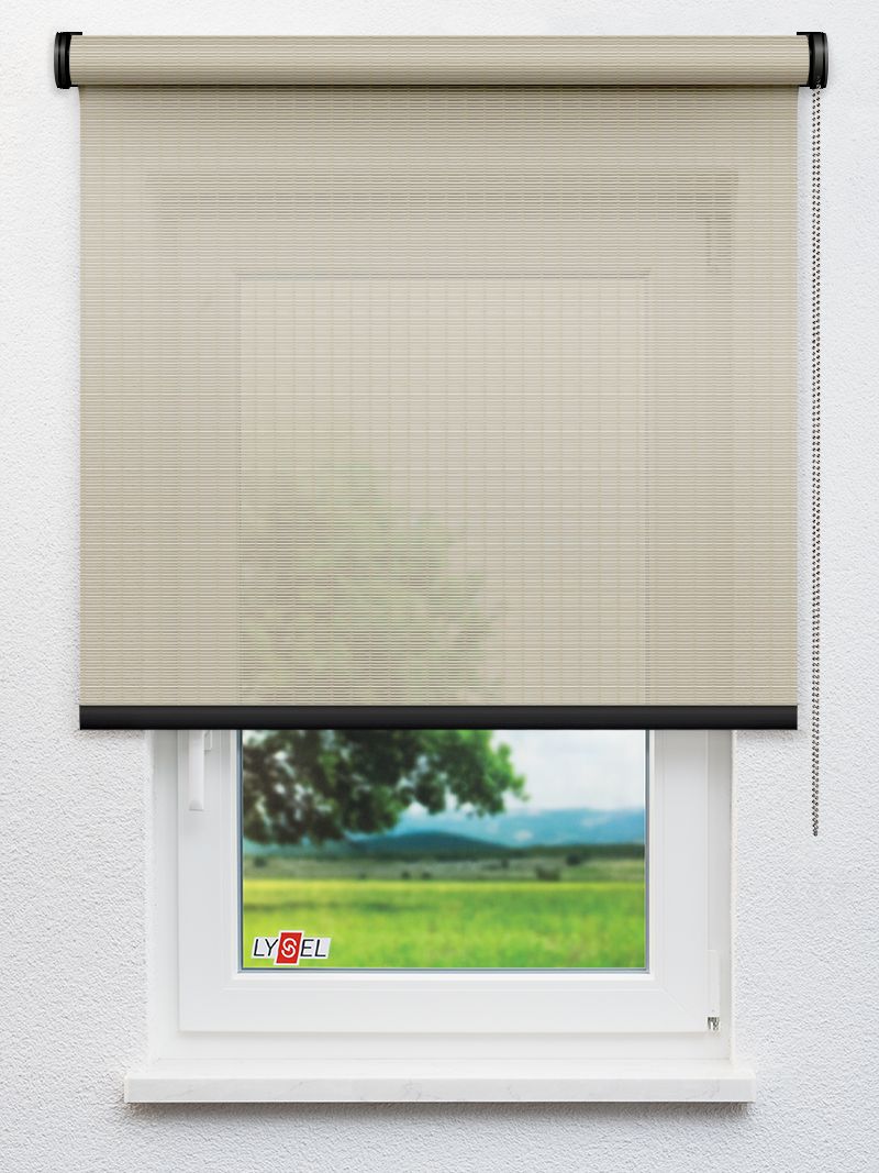 R1.787 Fensteransicht