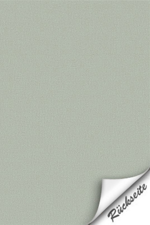 Preview  3