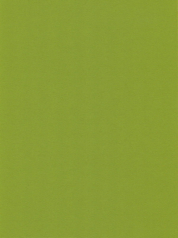 Detailansicht Lamelle Springfield 1059