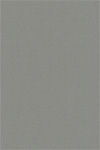 Lamelle Springfield 1130