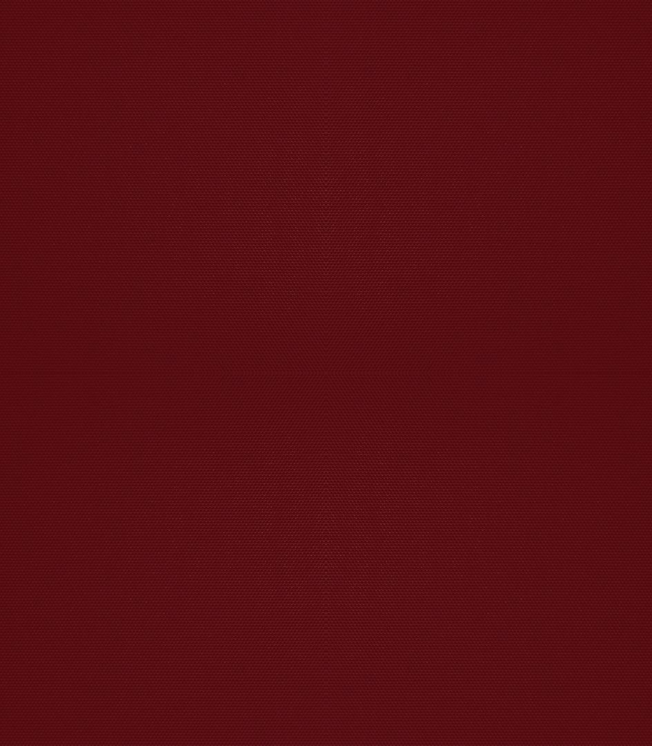 Detailansicht Hazel 0182