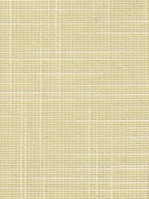 Detailansicht Pulvermaar 035180