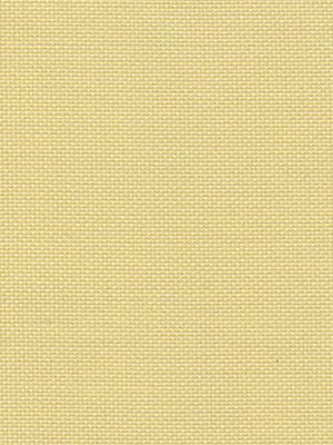 Detailansicht Bodensee 033416