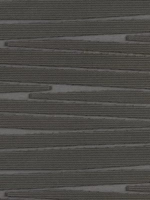 Detailansicht Trieben 20.338