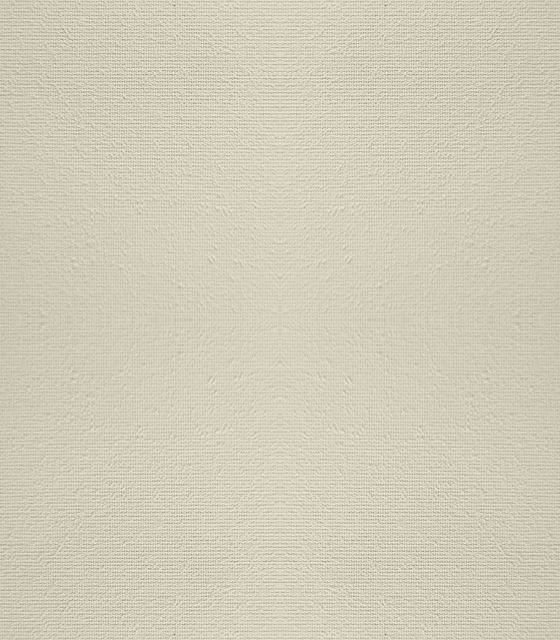 Preview Finis 1542 1