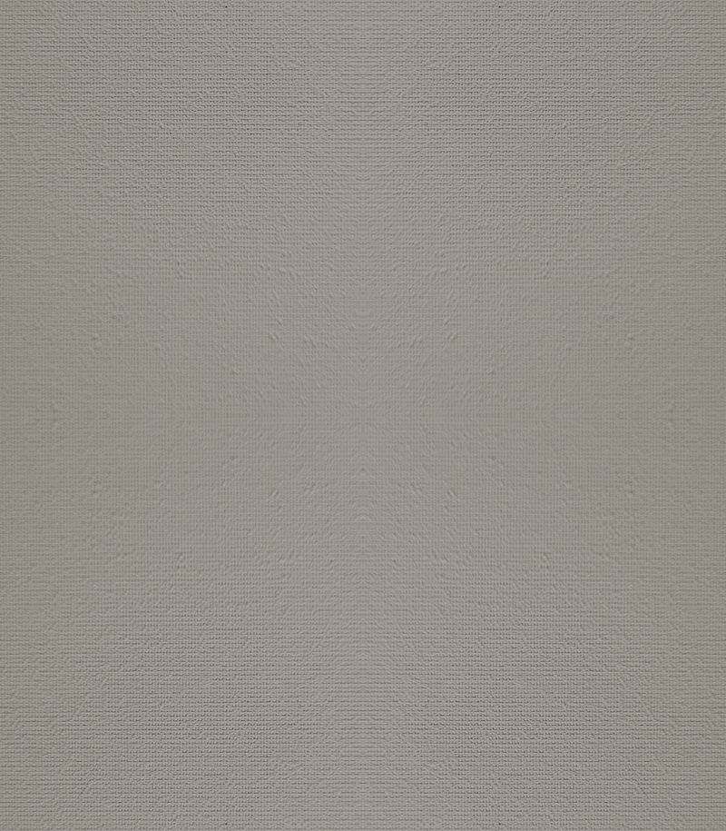 Preview Finis 1543 1