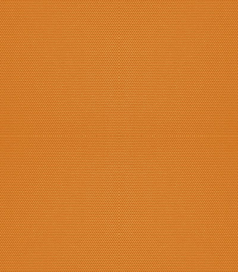 Preview Baker 2027 1