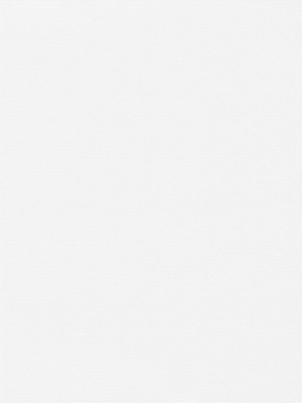 Preview Lamelle Springfield 1004 6