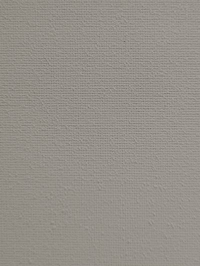 Finis 1543 Finis 1543