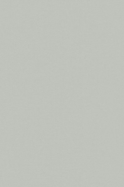 Lamelle Springfield 1129