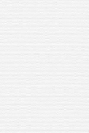 Lamelle Springfield 1004