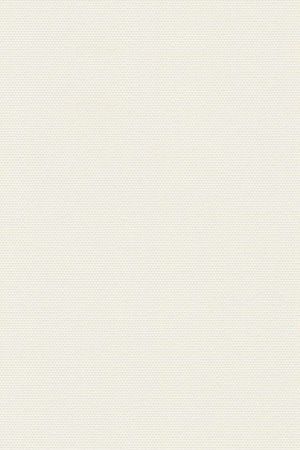 Lamelle Springfield 1058