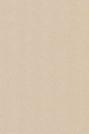 Lamelle Springfield 1061