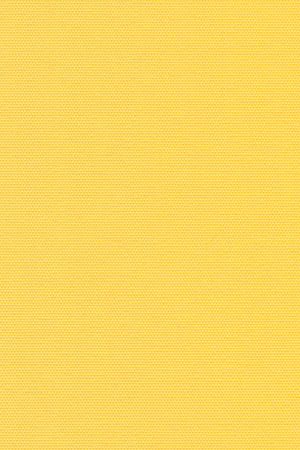 Lamelle Springfield 1005