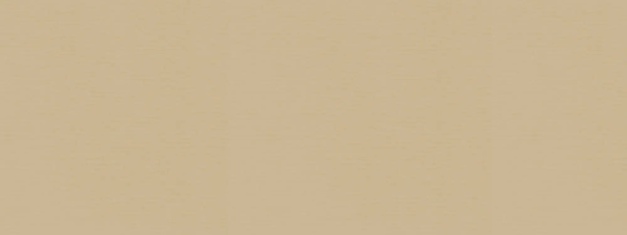 Detailansicht Markise Texout Matt 377