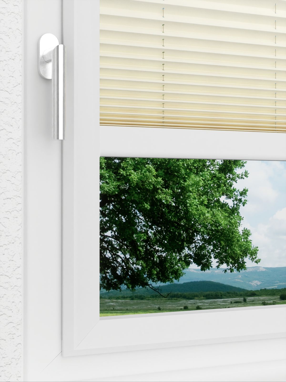 Detailansicht LYSEL HOME Plissee 101A Oliv Krepp Pearl