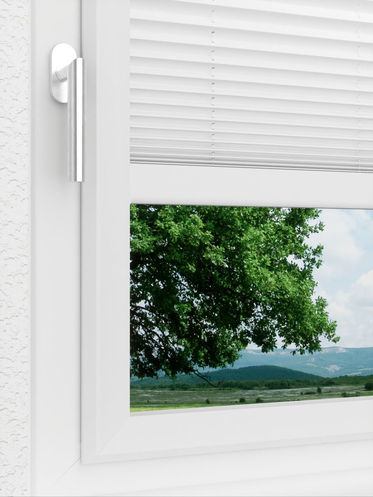 Detailansicht LYSEL HOME Plissee 103B Oliv Krepp BO