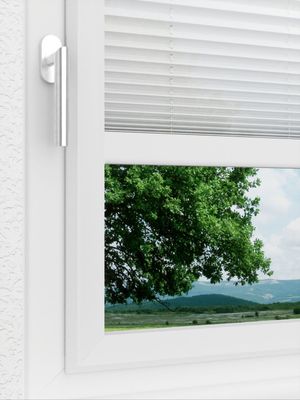 Preview LYSEL HOME Plissee 205A Oliv Krepp 3