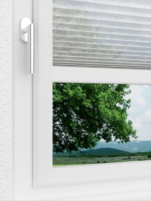 Preview LYSEL HOME Plissee 329A Flora Soft 3