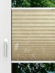 LYSEL HOME Plissee 319A Marina Island Fensteransicht