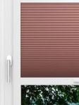 LYSEL HOME Wabe 339A Fionas Smart Frame Fensteransicht