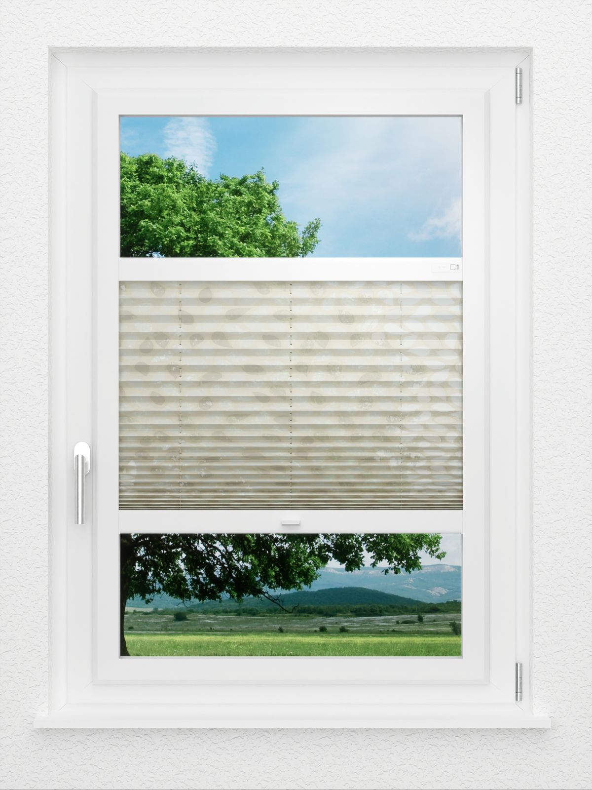 Detailansicht Eden 4.503.79