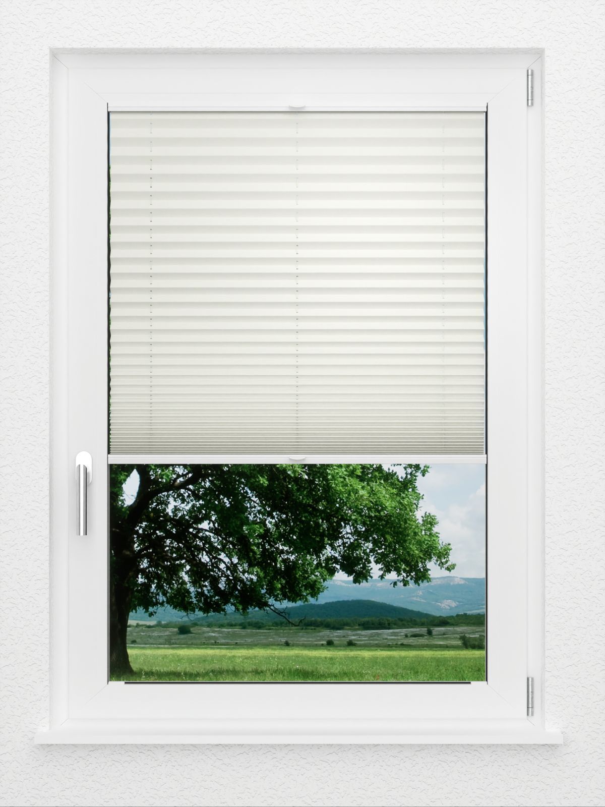 Detailansicht LYSEL HOME Plissee 219B Oliv Krepp BO