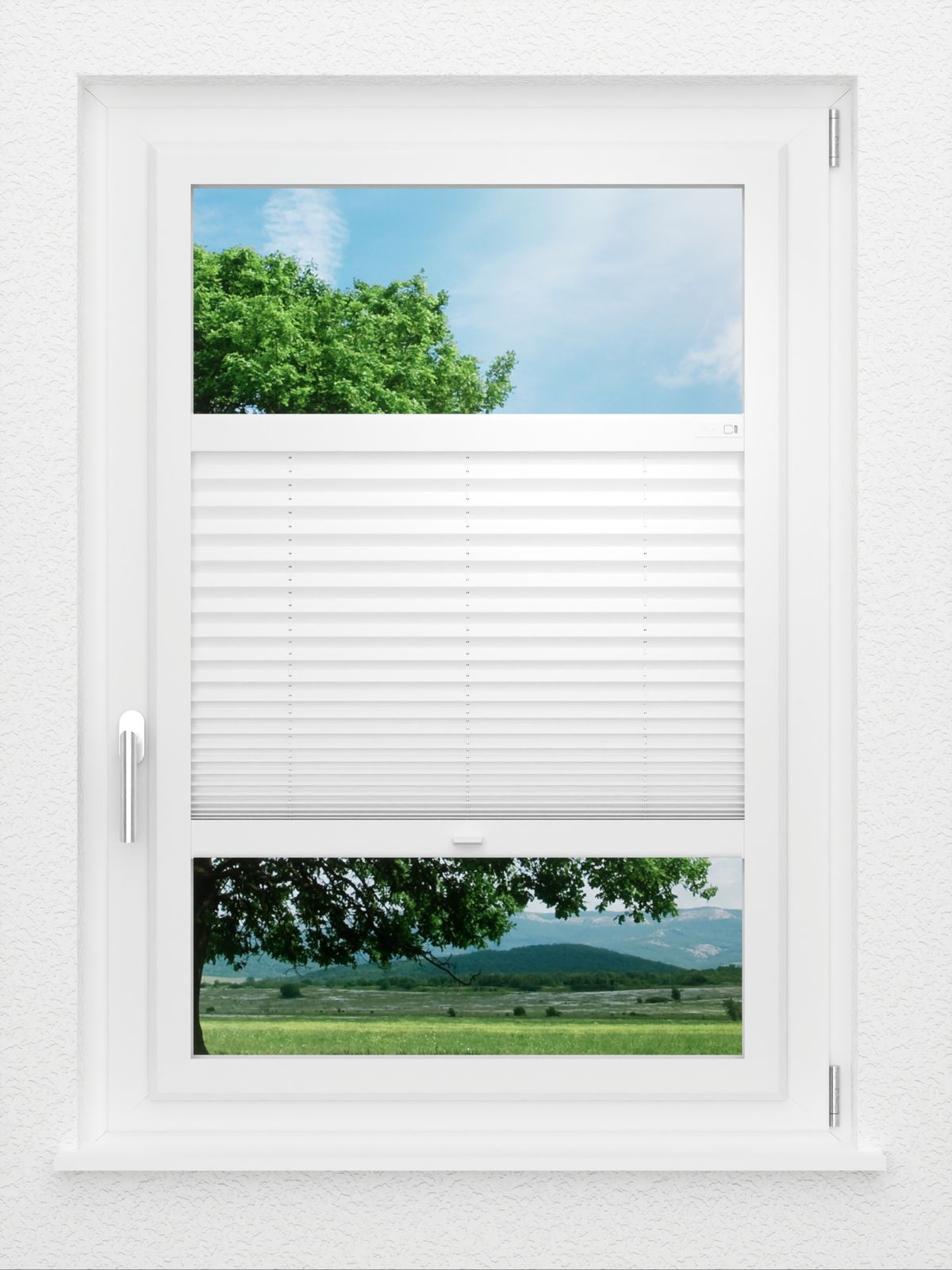 Detailansicht LYSEL HOME Plissee 205B Oliv Krepp