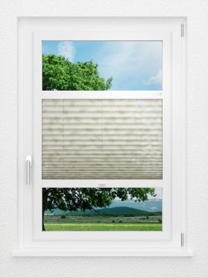 Preview Eden 4.503.79 0
