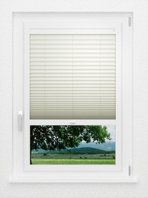 Preview LYSEL HOME Plissee 219B Oliv Krepp BO 1