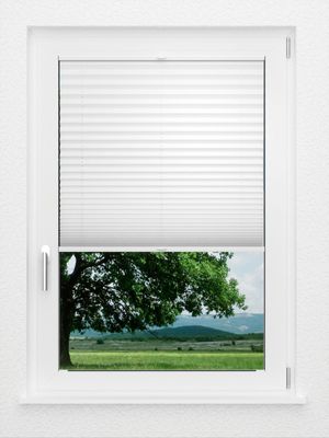 Preview LYSEL HOME Plissee 209B Oliv Krepp Pearl 1