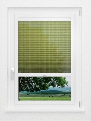 Preview LYSEL HOME Plissee 436A Lay 1