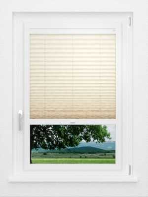 Preview LYSEL HOME Plissee 328A Glenn 1