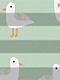 LYSEL HOME Plissee 435A Möwe LYSEL HOME Plissee 435A Möwe