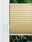 Color Life 0.125.35 Fensteransicht