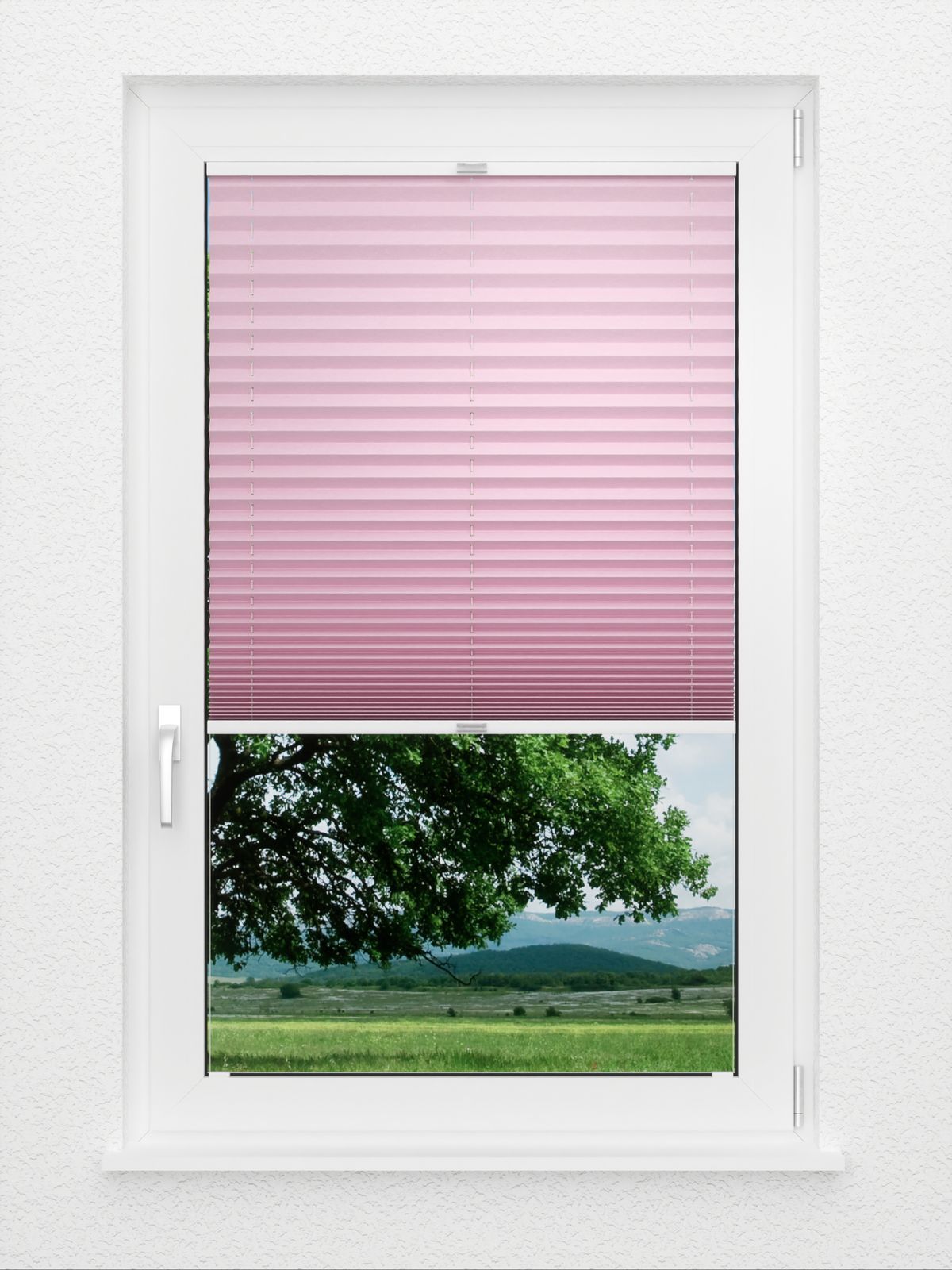 Detailansicht Structure Pearl 2.355.77