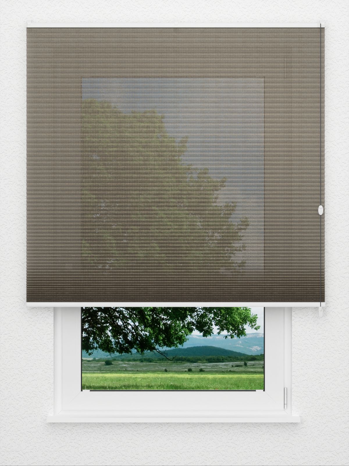 Detailansicht Honeycomb Tabby 8.357.813