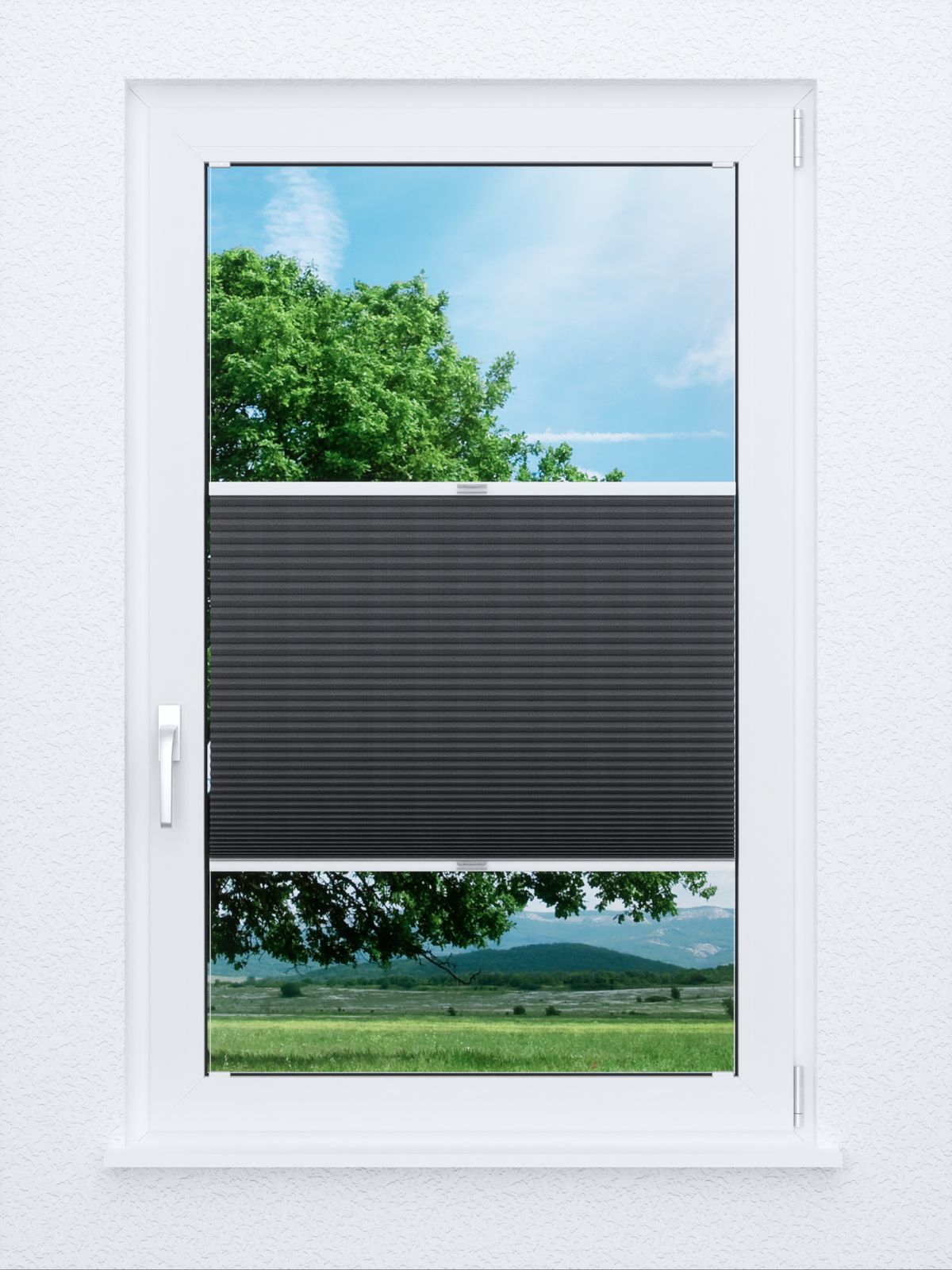 Detailansicht Honeycomb Clossy 4.700.11