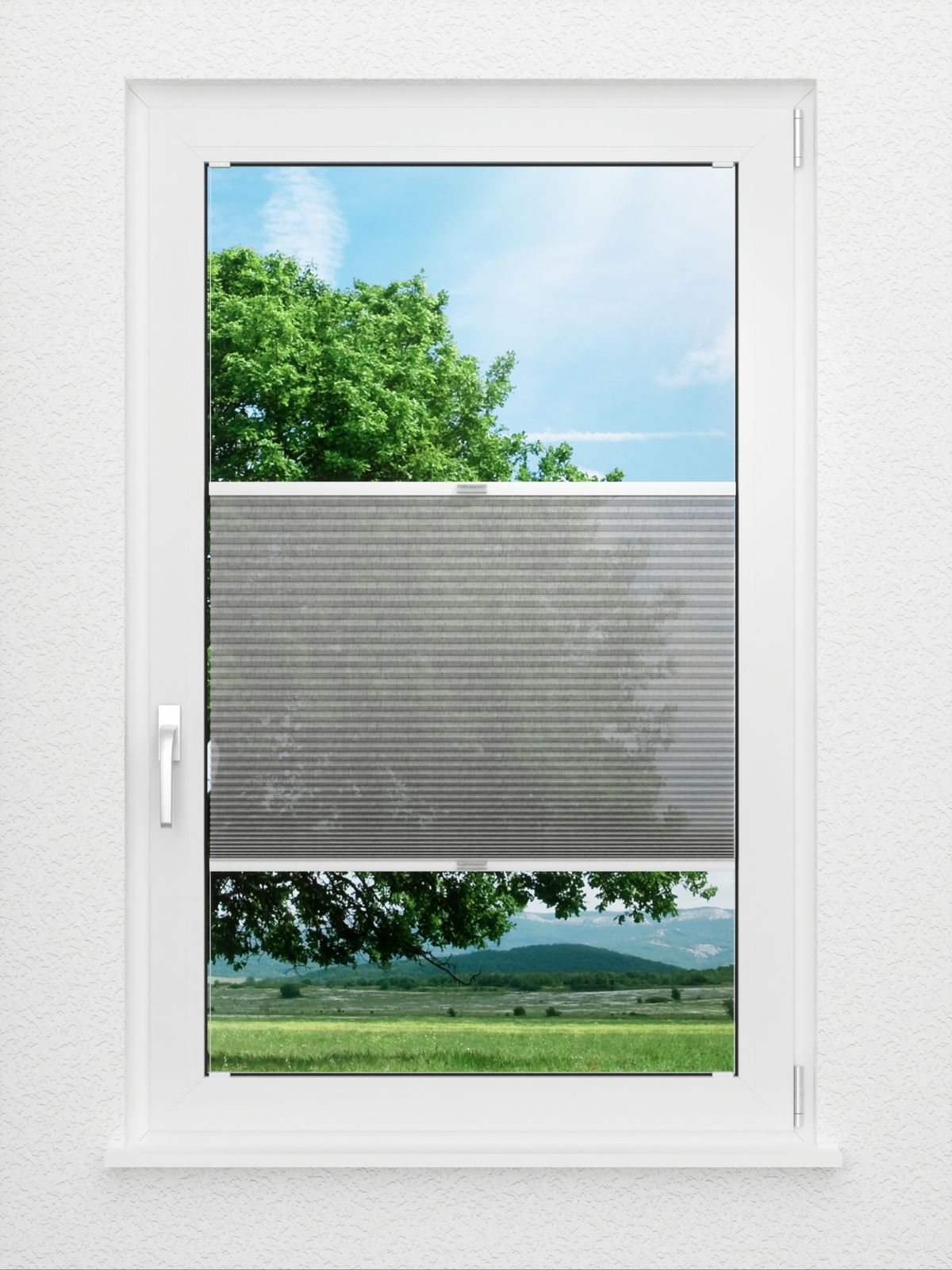 Detailansicht Honeycomb Yuki 8.364.113