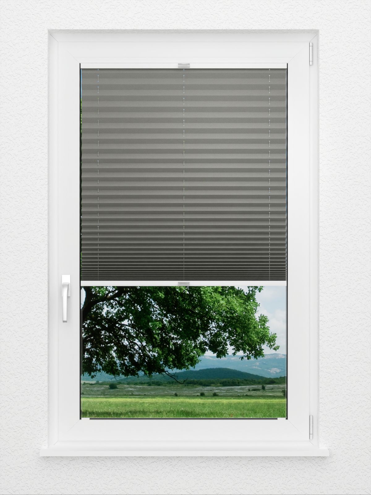 Detailansicht Color Life