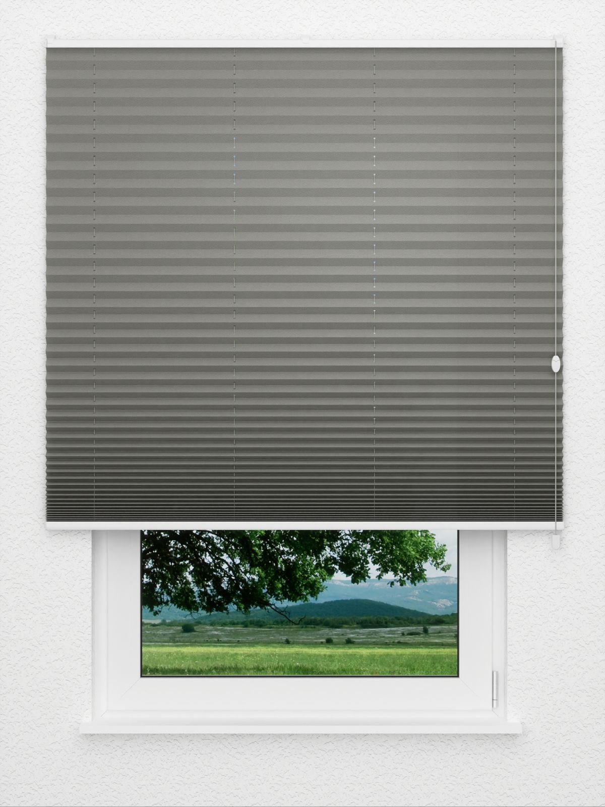 Detailansicht Color Life