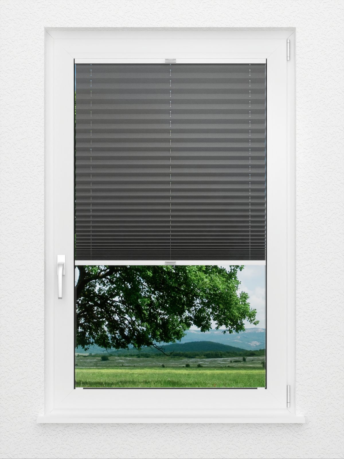 Detailansicht Color Life