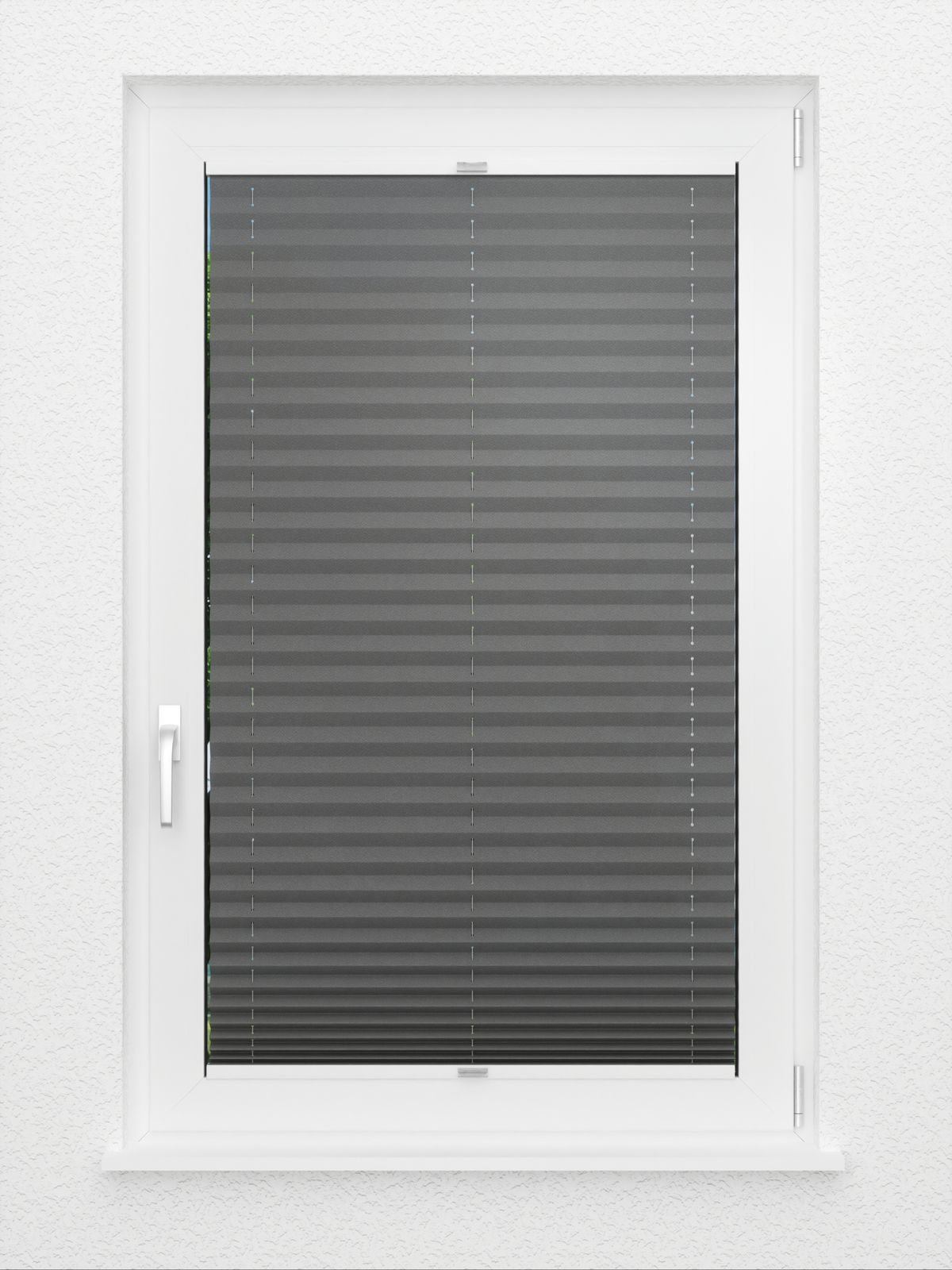 Detailansicht Color Life