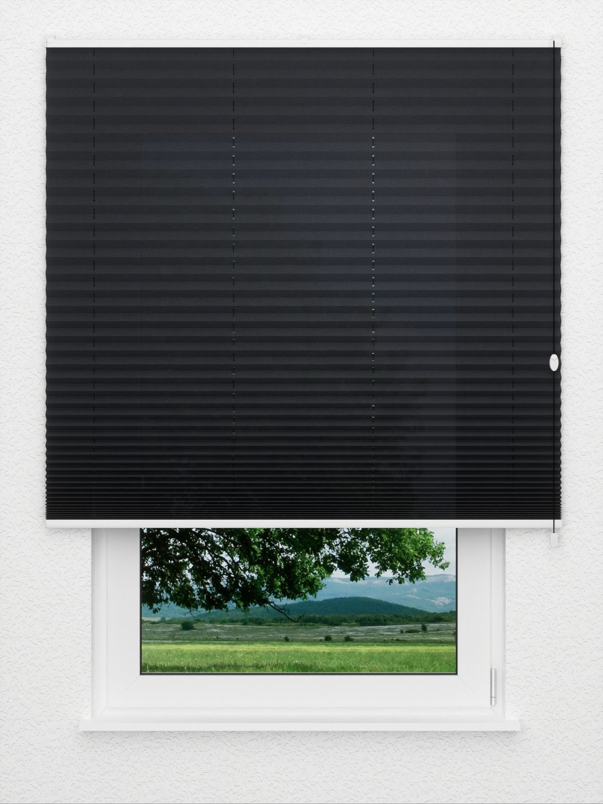 Detailansicht Color Life