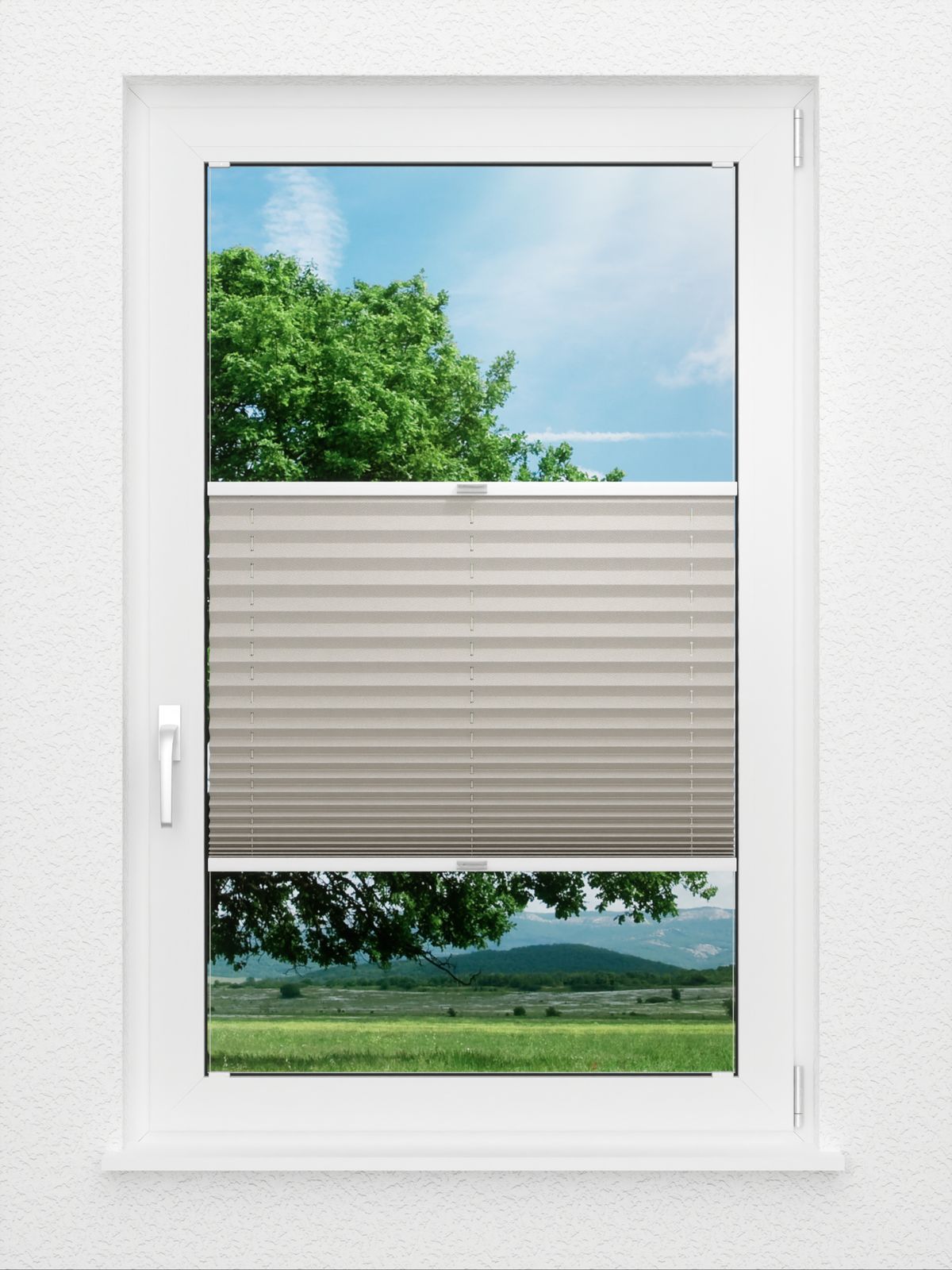 Detailansicht Color Pearl
