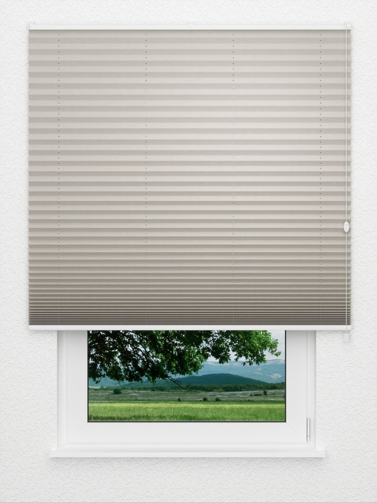 Detailansicht Color Pearl