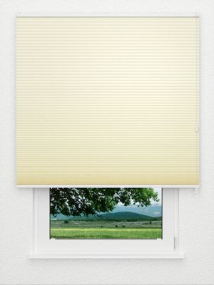 Preview Honeycomb Balto 3